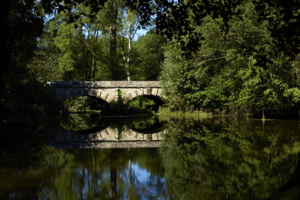 Saint-Cyr côté nature