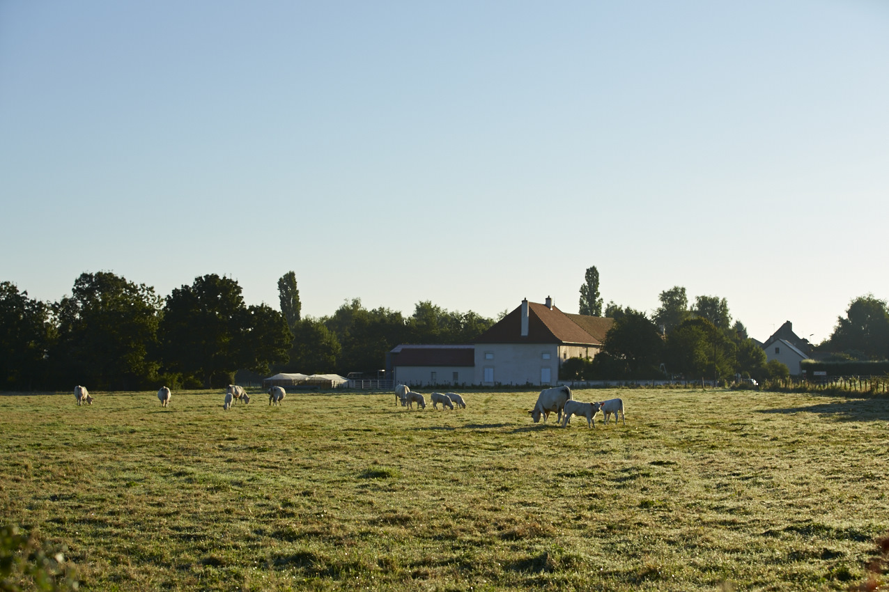 Saint-Cyr côté nature