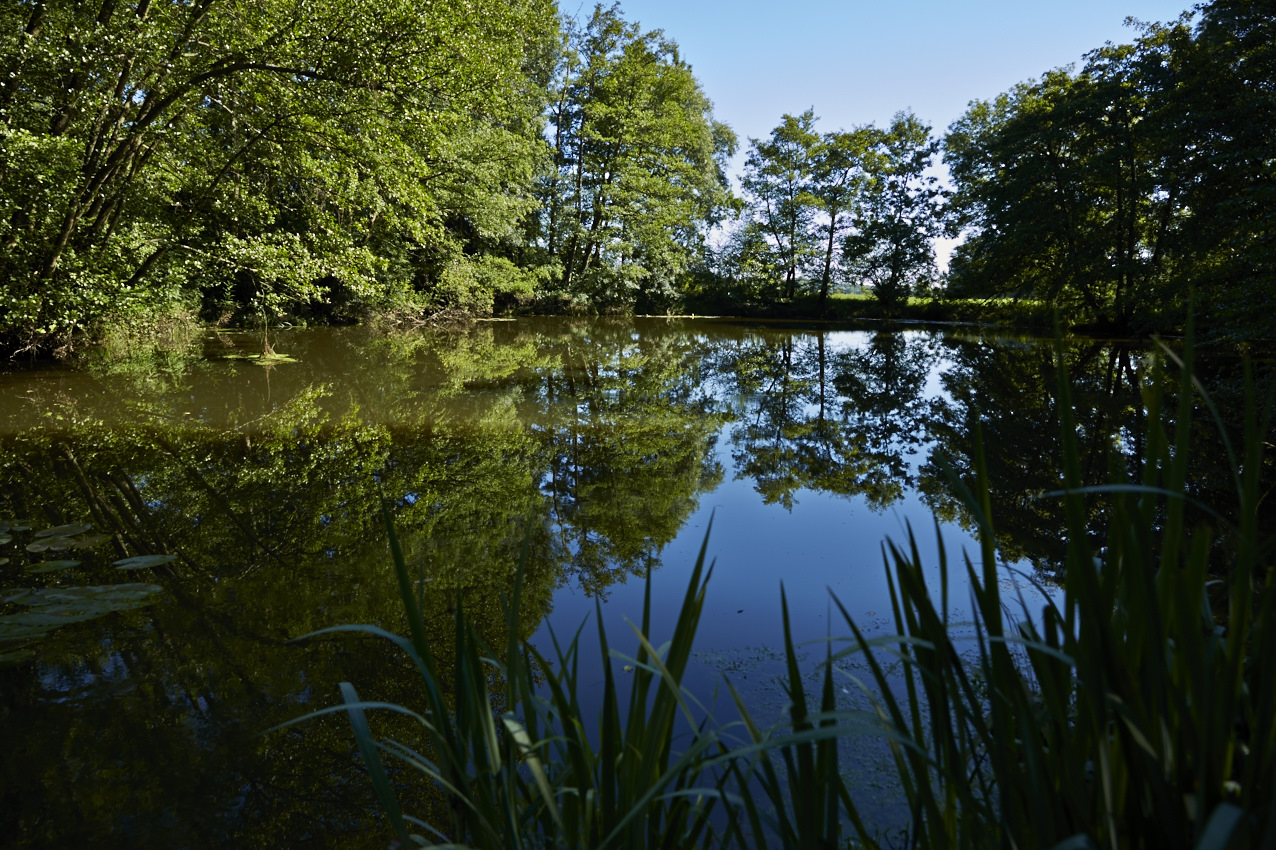 Saint-Cyr côté nature