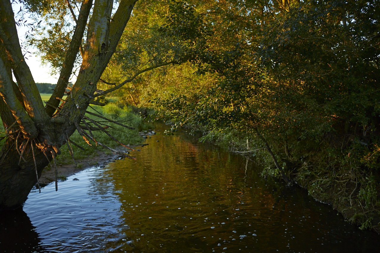 Saint-Cyr côté nature